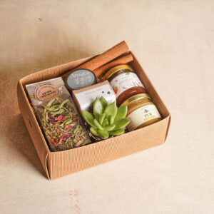 מיני ספא ודבש